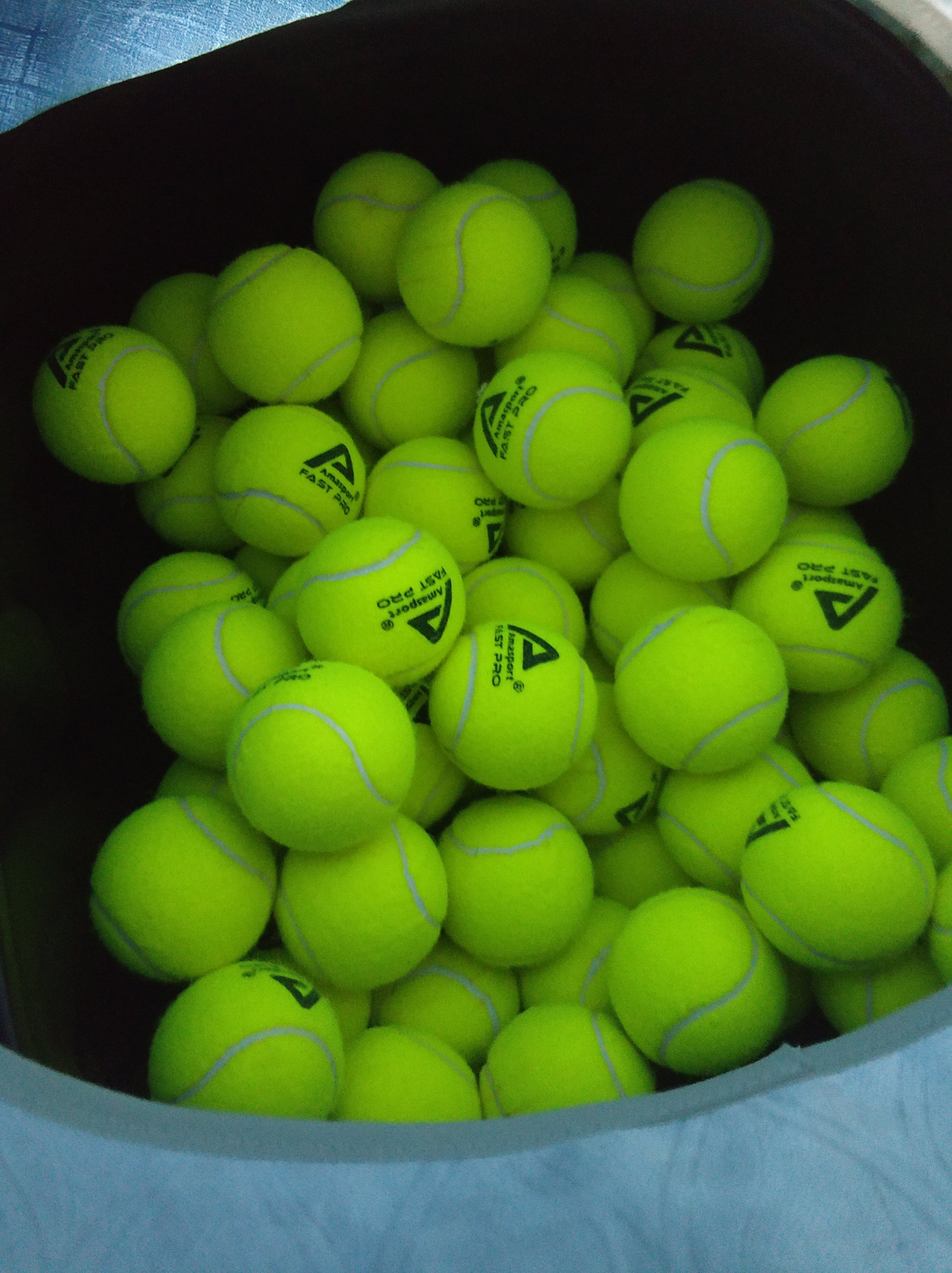 的现场课 的现场课