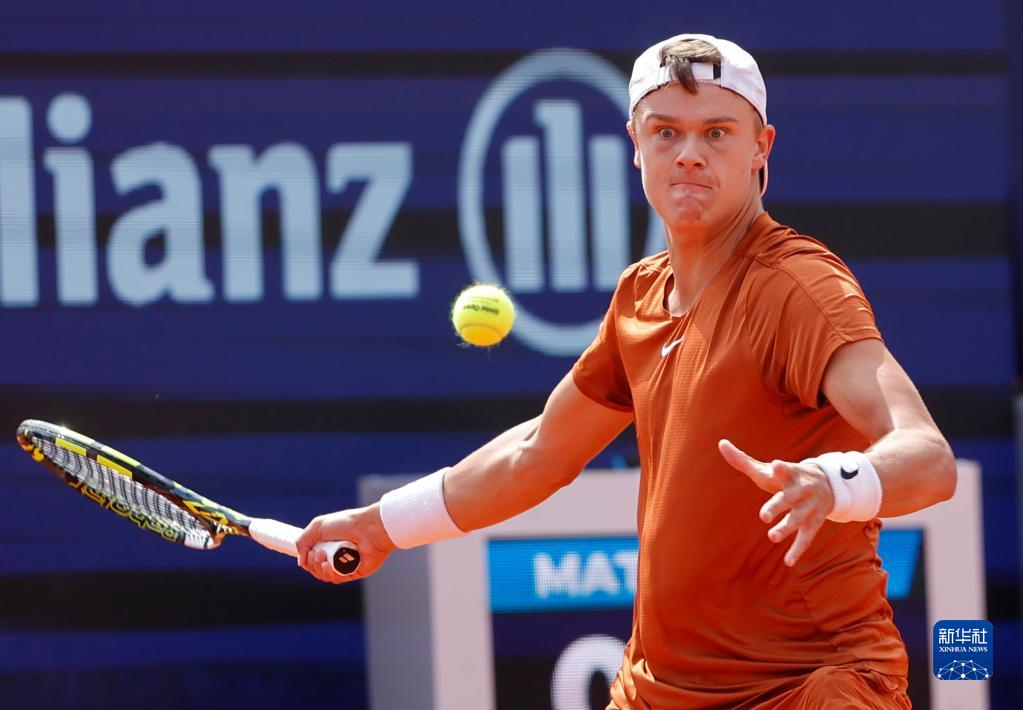 肢体分段动 肢体分段动